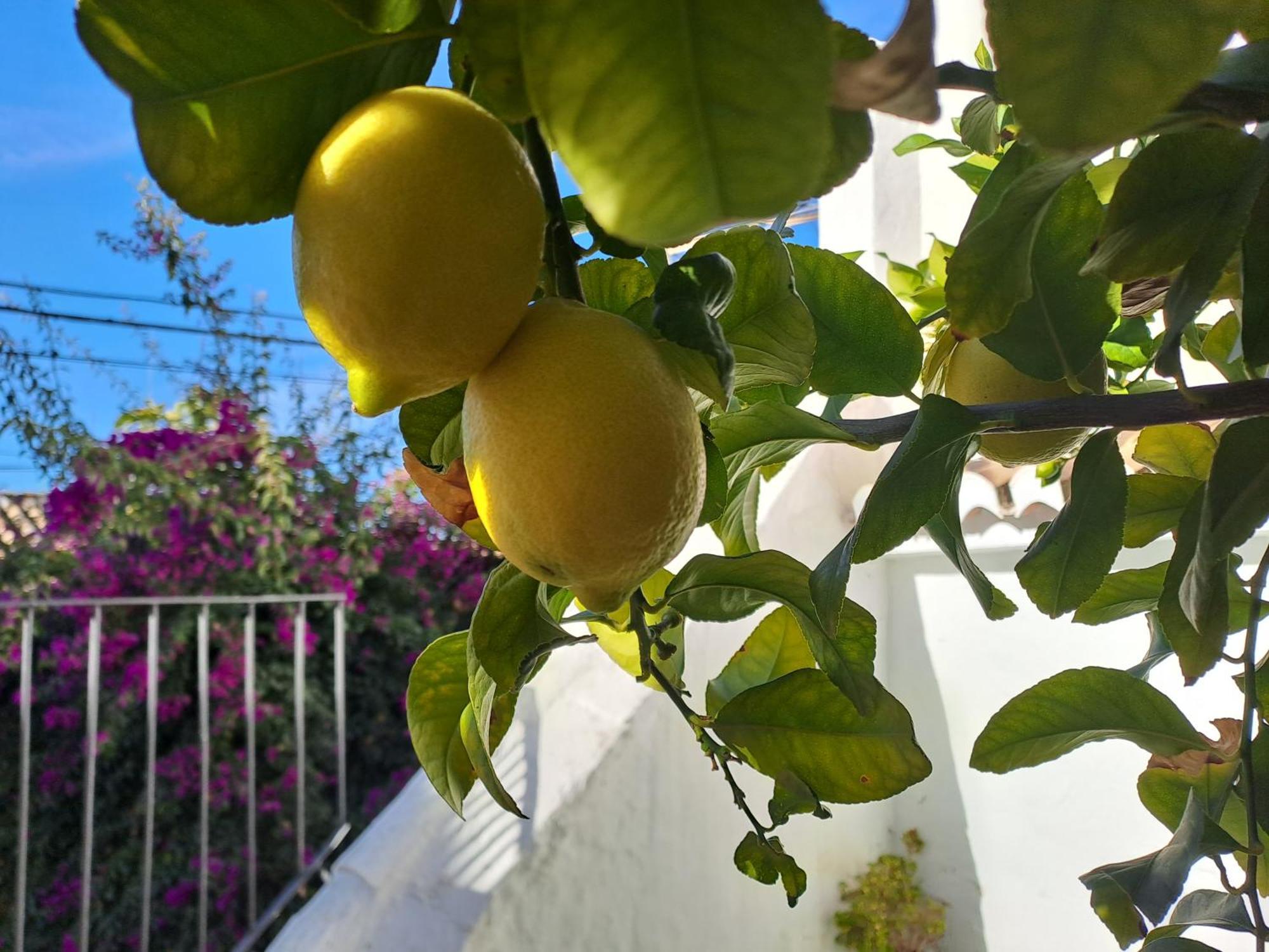 Casa Alhambra - Centro Historico Con Jardin Privado Apartment Granada Luaran gambar